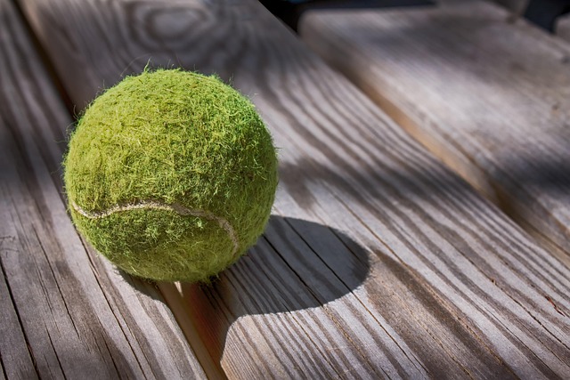Tournament Tennis Balls