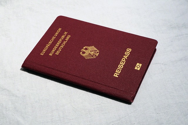 Passport and ID Card Holder for Travel Documents