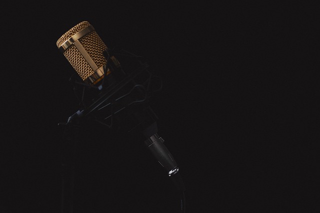 Voice Recorder for Meetings