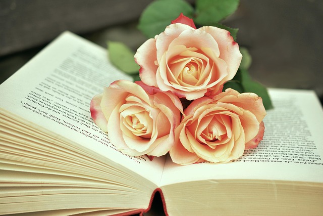 Best-Selling Books 2025