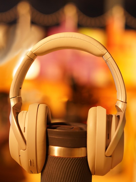 Noise Cancelling Headphones for Flying