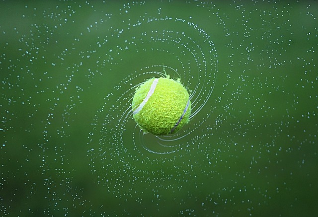 Penn Championship Tennis Balls