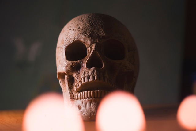 Michael Johnston's The Bone Season