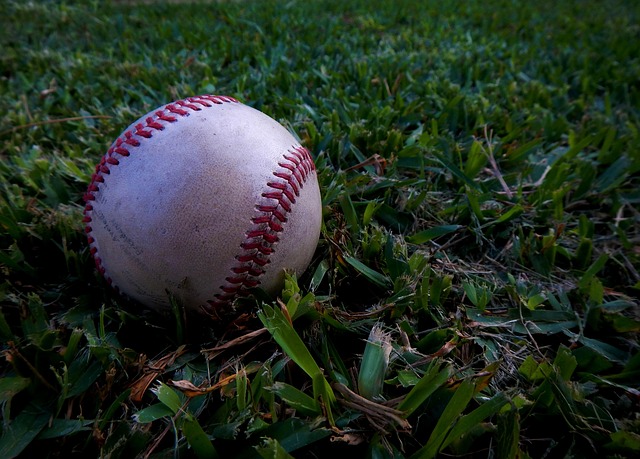 Rawlings Official Major League Baseball