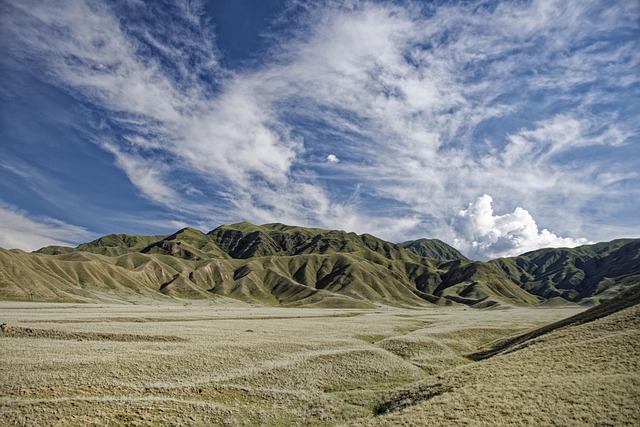 India-Central Asia Business Guide
