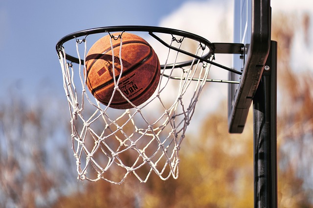 Basketball Hoop Portable System
